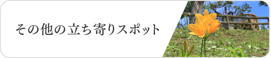 その他の立ち寄りスポット