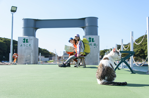 田代島【宮城県石巻市】