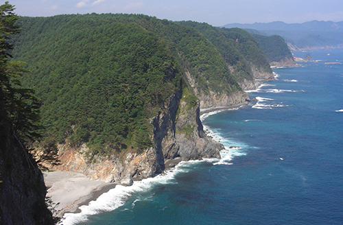 鵜の巣断崖【岩手県田野畑村】