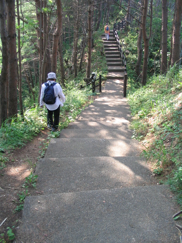 タイトル　北山崎歩道