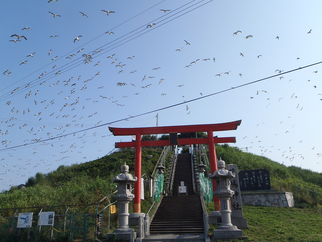 タイトル　蕪島（八戸市）