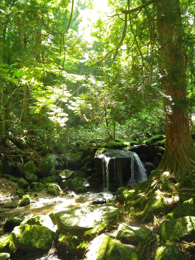 タイトル　寺下観音（階上町）