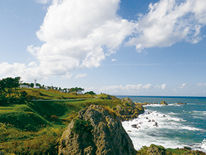 photo of Tanesashi Coast Viewed from the Ashigezaki Observation Point