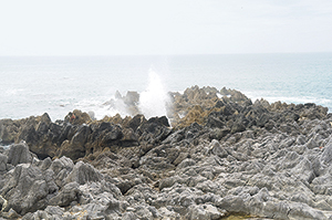 岩井崎の石灰岩と潮吹穴の写真