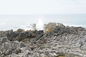 岩井崎の石灰岩と潮吹穴の写真