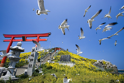 photo 3 of Sanriku Fukko (reconstruction) National Park