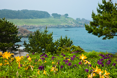 photo 6 of Sanriku Fukko (reconstruction) National Park