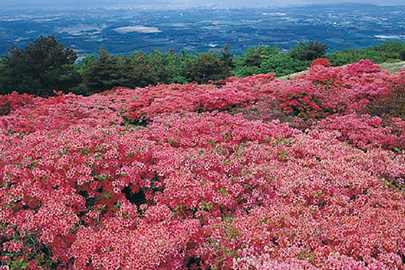 photo 9 of Sanriku Fukko (reconstruction) National Park