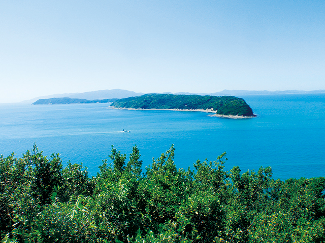 photo of Kada / Tomogashima Island 