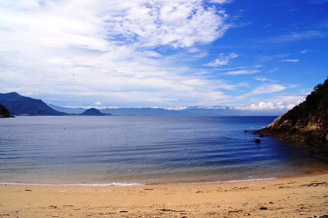 海水浴の写真