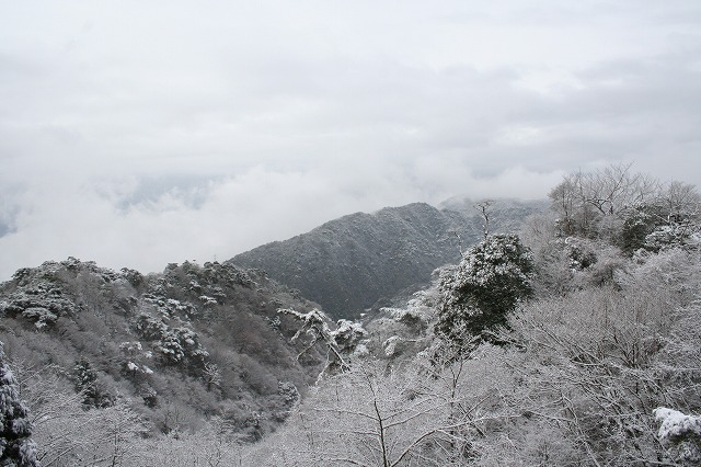 タイトル　雪の六甲山系