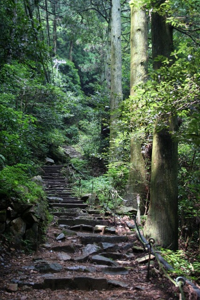 タイトル　摩耶山