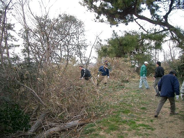 タイトル　展望地の修景作業