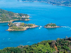 能島と潮流体験船（愛媛県今治市）の写真