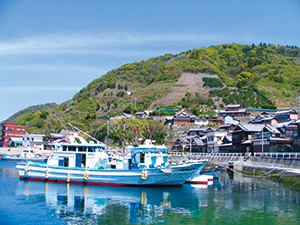 鹿島の集落と段々畑（広島県呉市）の写真