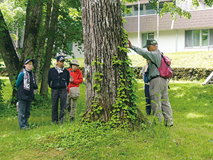 phot of Park Volunteers