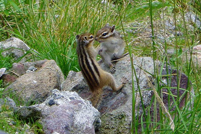 photo 3 of Shikotsu-Toya National Park