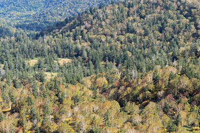 photo 8 of Shikotsu-Toya National Park