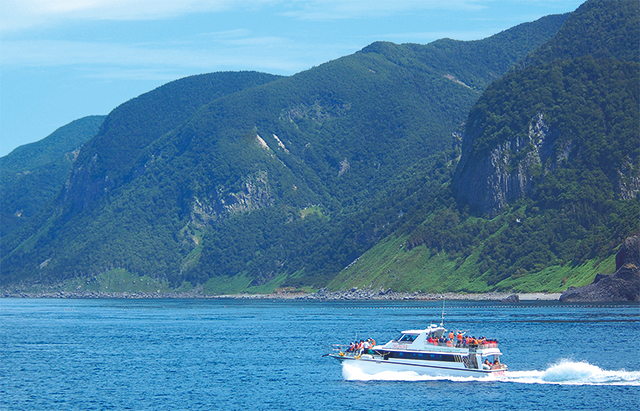 photo of Sightseeing Boats