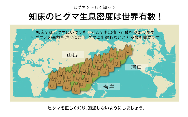  知床のヒグマ生息密度は世界有数！ 知床ではヒグマにいつでも・どこでも出会う可能性があります。ヒグマとの事故を防ぐには、ヒグマに出会わないことが最も重要です。ヒグマを正しく知り、遭遇しないようにしましょう。