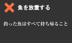 魚を放置するのは危険。 釣った魚はすべて持ち帰ること。