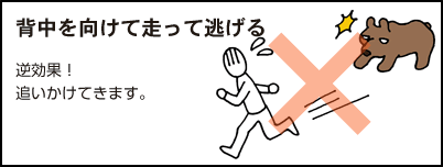 背中を向けて走って逃げるのは逆効果！追いかけてきます