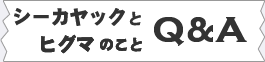 シーカヤックとヒグマのこと QアンドA