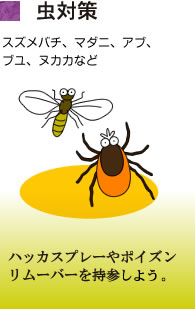 虫対策が大事。スズメバチ、マダニ、アブ、ブユ、ヌカカなどの対策にハッカスプレーやポイズンリムーバーを持参しよう。
