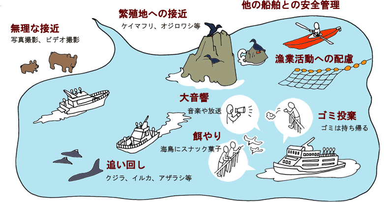 無理な接近はしない。繁殖地への接近はしない。他の船舶との安全管理に努める。 漁業活動への配慮。大音響の放送や餌やりを行わない。クジラ、イルカ、アザラシ等の追い回しをしない。ゴミは持ち帰る。