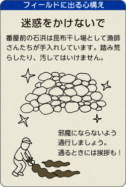 フィールドに出る心構え。番屋前の石浜は昆布干し場として漁師さんたちが手入れしています。踏み荒らしたり、汚してはいけません。邪魔にならないよう通行しましょう。 通るときは挨拶も！