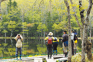 photo of Guided Tour