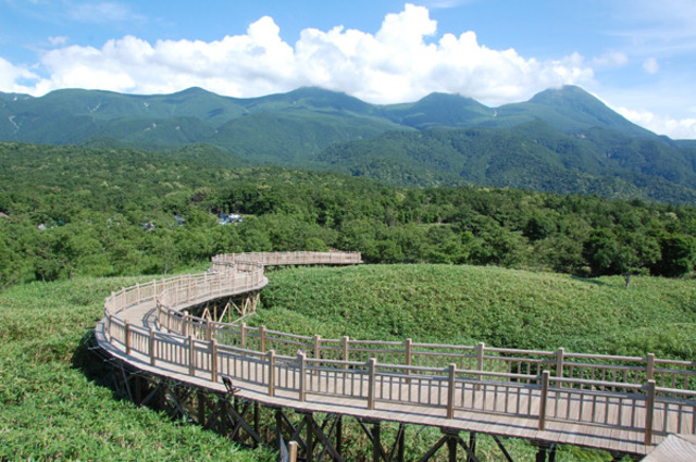 タイトル　第一展望台から見た知床連山（高架木道）