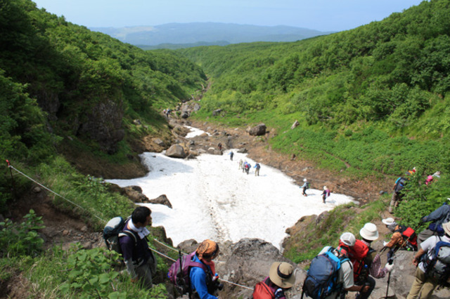 タイトル　雪渓の通過（ウトロ側登山道）