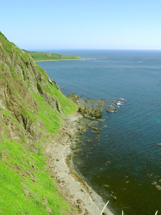 タイトル　知床岬へ続く海岸線（7月）