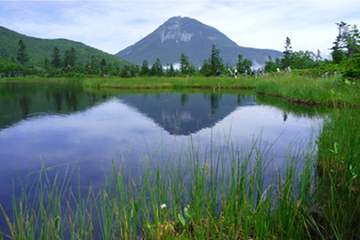 photo 1 of Shiretoko National Park