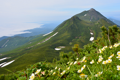 photo 9 of Shiretoko National Park