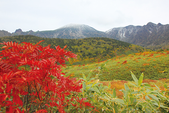 photo of Mt. Iwate