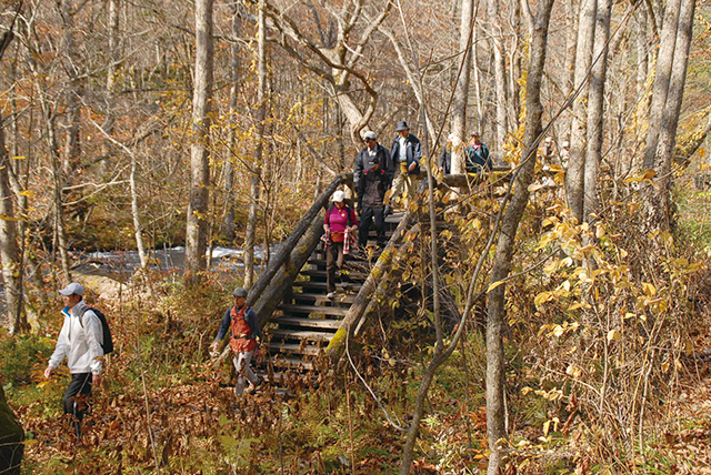 photo of Hiking and Walking