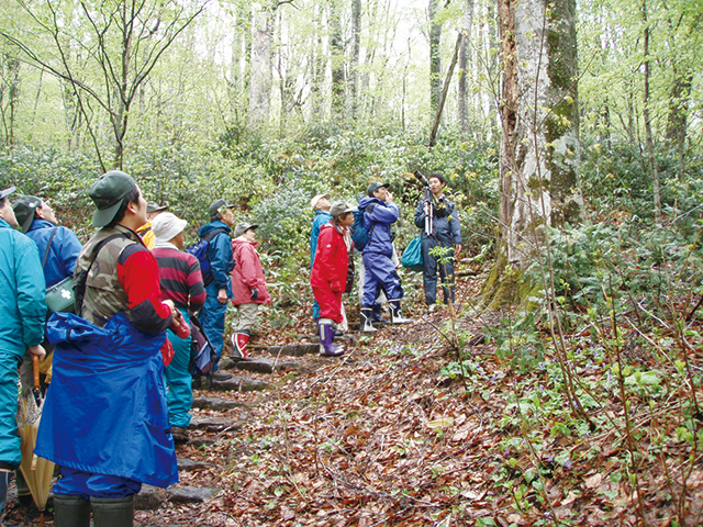 photo of Nature Observation Walk /Nature Experience Program