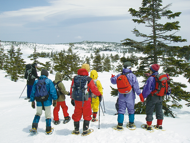 photo of Snowshoe Hiking