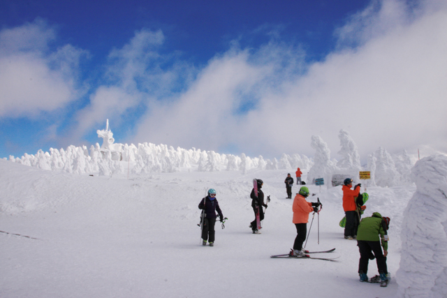 スキー（八甲田山）の写真