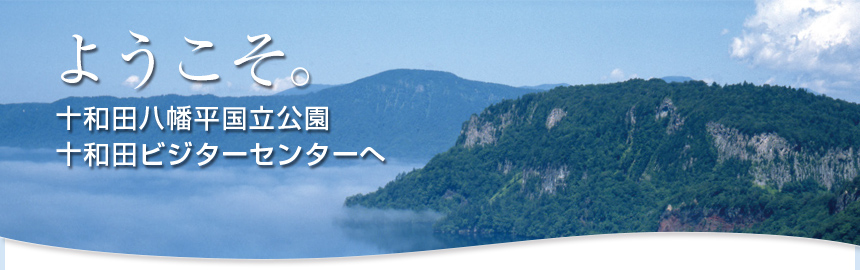 ようこそ　十和田ビジターセンターへ