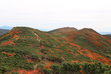 Mt. Iwate, Hachimantai, AppiKogen 50 km Trail