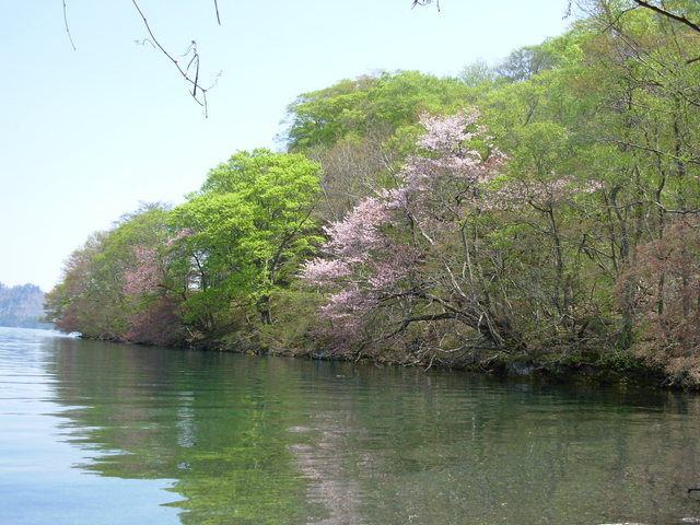 タイトル　春の湖畔