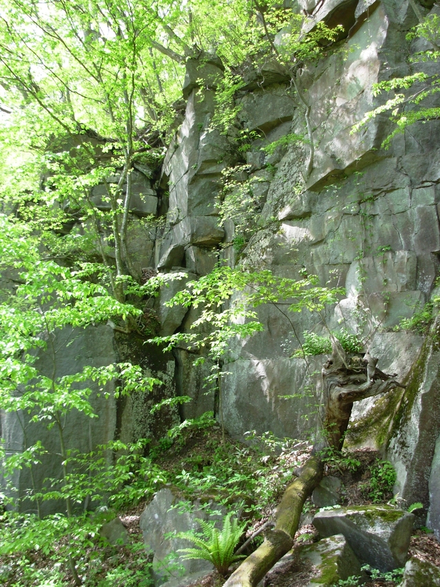 タイトル　溶結凝灰岩