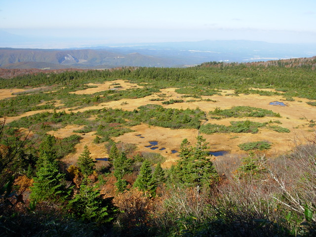 タイトル　毛無岱