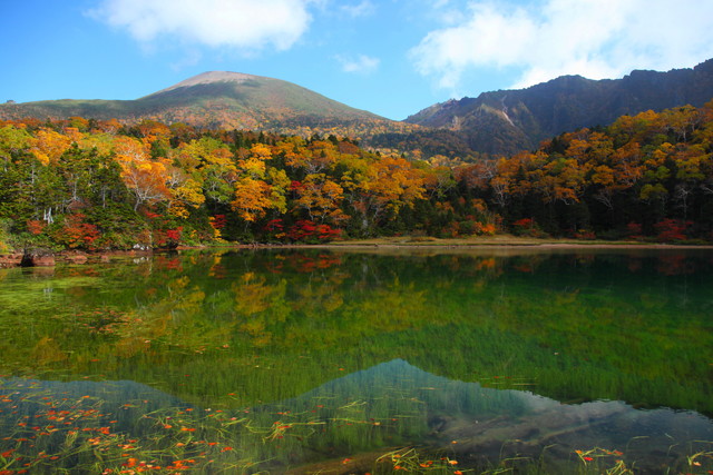 タイトル　蓬莱沼　９月
