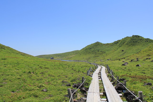 タイトル　秋田駒ヶ岳・5月