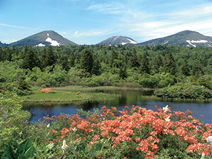 photo of Mt. Hakkoda and Suiren Pond
