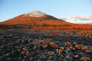 岩手山と焼走り溶岩流の写真